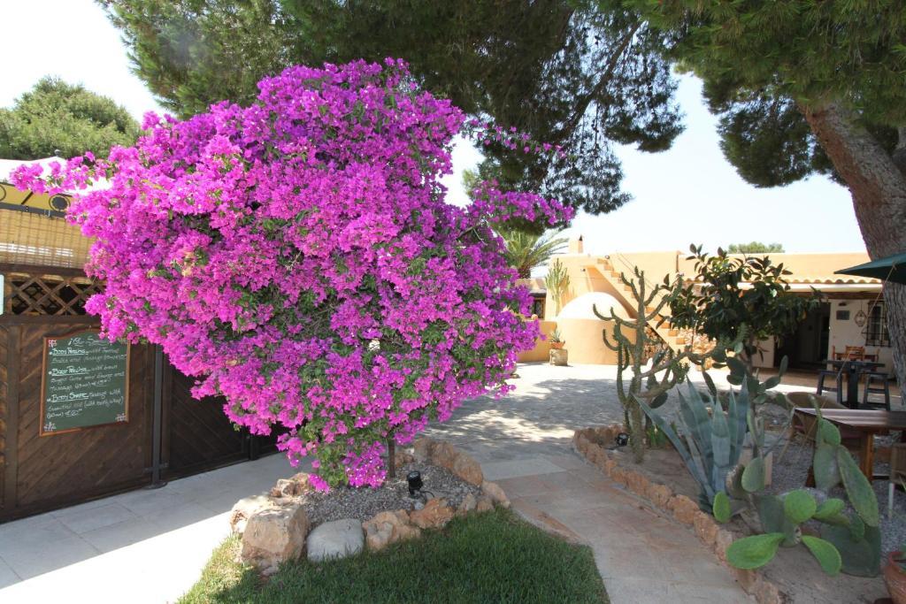 Finca Can Toni Sant Jordi de ses Salines Exteriér fotografie